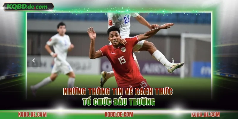 Những thông tin về cách thức tổ chức đấu trường