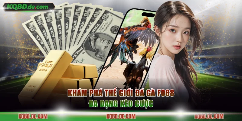 Trực tiếp chọi kê với đa dạng kèo cược hấp dẫn